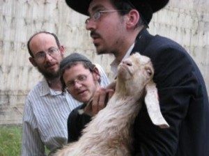Jewish man with lamb at Passover