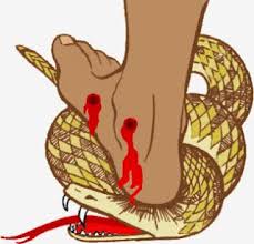 https://en.satyavedapusthakan.net/wp-content/uploads/sites/3/2020/11/jesus-treads-on-serpent.jpg